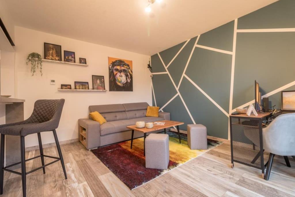Appartement Le Saver'Zaru, Centre Ville, T2 55M² Саверн Екстериор снимка